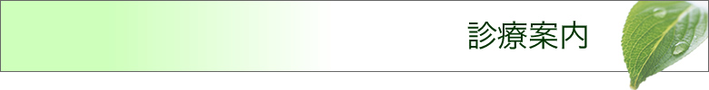 診療案内